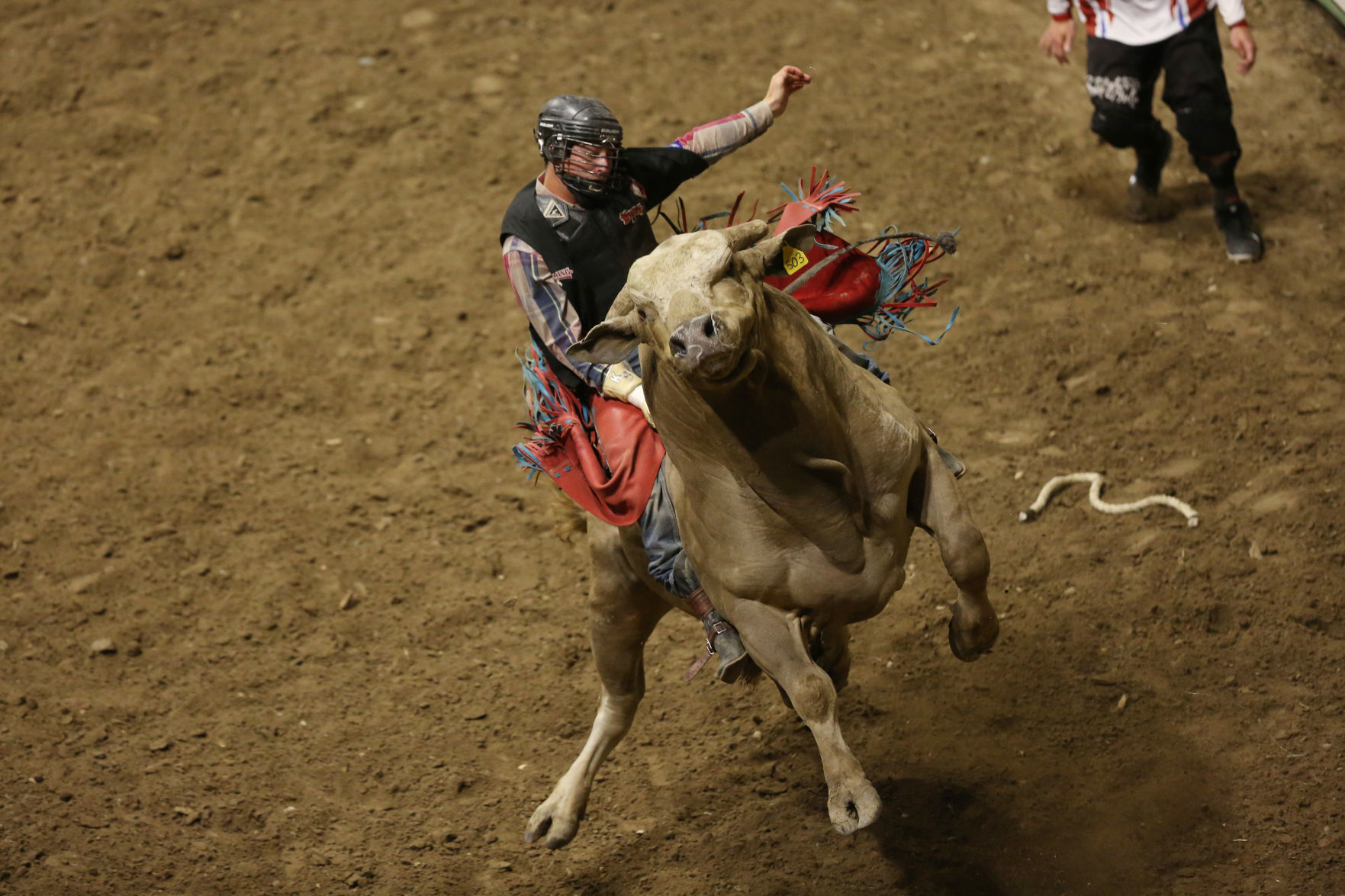 CNFR